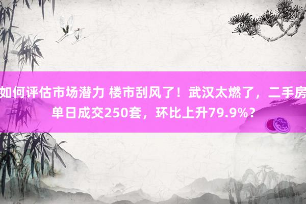 如何评估市场潜力 楼市刮风了！武汉太燃了，二手房单日成交250套，环比上升79.9%？