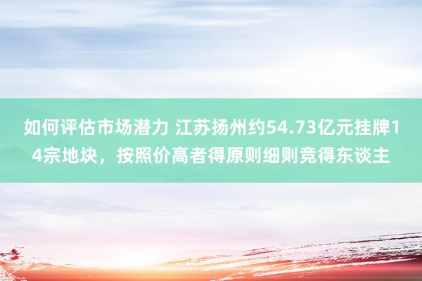 如何评估市场潜力 江苏扬州约54.73亿元挂牌14宗地块，按照价高者得原则细则竞得东谈主