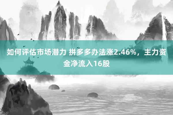 如何评估市场潜力 拼多多办法涨2.46%，主力资金净流入16股