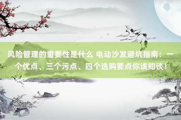 风险管理的重要性是什么 电动沙发避坑指南：一个优点、三个污点、四个选购要点你该知谈！