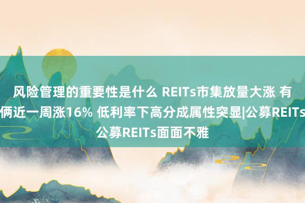 风险管理的重要性是什么 REITs市集放量大涨 有保障房技俩近一周涨16% 低利率下高分成属性突显|公募REITs面面不雅