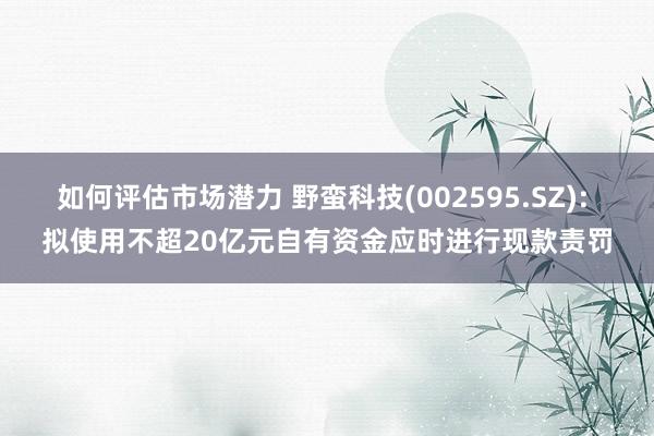 如何评估市场潜力 野蛮科技(002595.SZ): 拟使用不超20亿元自有资金应时进行现款责罚