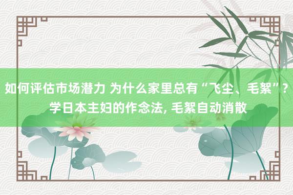 如何评估市场潜力 为什么家里总有“飞尘、毛絮”? 学日本主妇的作念法, 毛絮自动消散