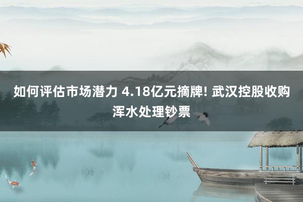 如何评估市场潜力 4.18亿元摘牌! 武汉控股收购浑水处理钞票