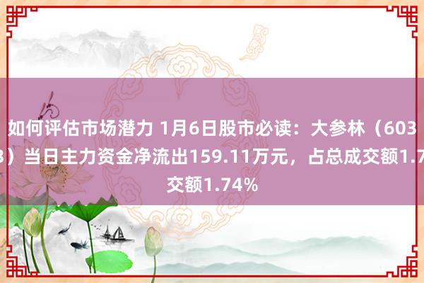 如何评估市场潜力 1月6日股市必读：大参林（603233）当日主力资金净流出159.11万元，占总成交额1.74%