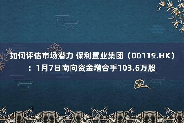 如何评估市场潜力 保利置业集团（00119.HK）：1月7日南向资金增合手103.6万股