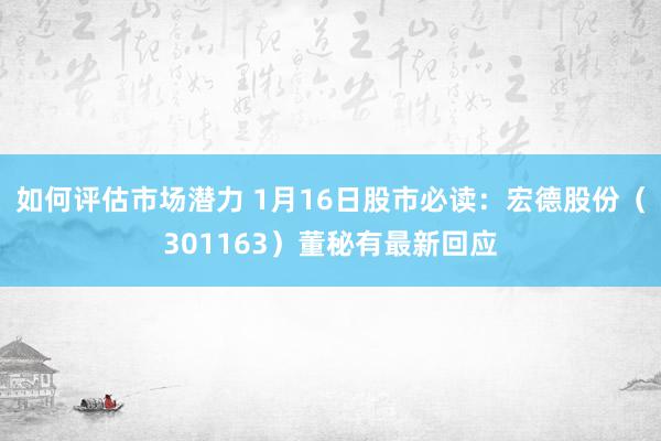 如何评估市场潜力 1月16日股市必读：宏德股份（301163）董秘有最新回应