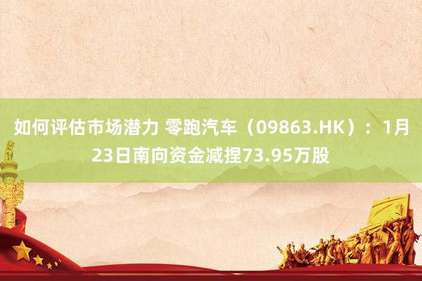 如何评估市场潜力 零跑汽车（09863.HK）：1月23日南向资金减捏73.95万股