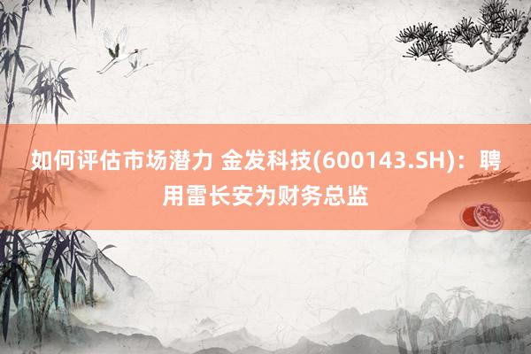 如何评估市场潜力 金发科技(600143.SH)：聘用雷长安为财务总监