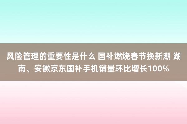 风险管理的重要性是什么 国补燃烧春节换新潮 湖南、安徽京东国补手机销量环比增长100%