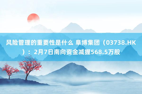 风险管理的重要性是什么 阜博集团（03738.HK）：2月7日南向资金减握568.5万股