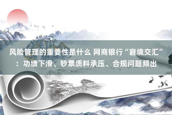 风险管理的重要性是什么 网商银行“窘境交汇”：功绩下滑、钞票质料承压、合规问题频出