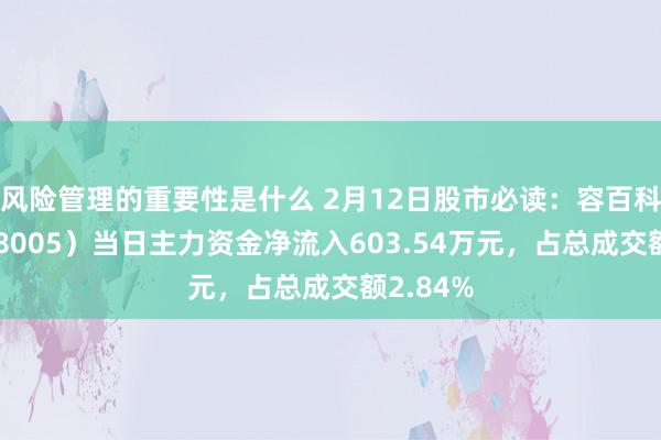 风险管理的重要性是什么 2月12日股市必读：容百科技（688005）当日主力资金净流入603.54万元，占总成交额2.84%