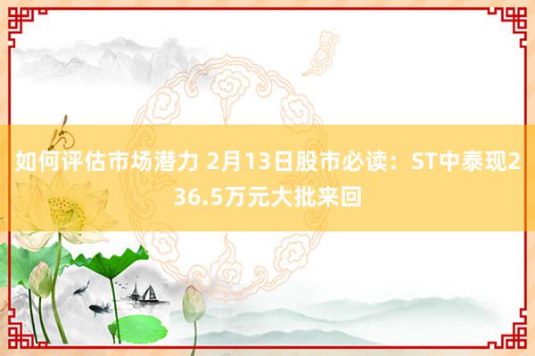 如何评估市场潜力 2月13日股市必读：ST中泰现236.5万元大批来回