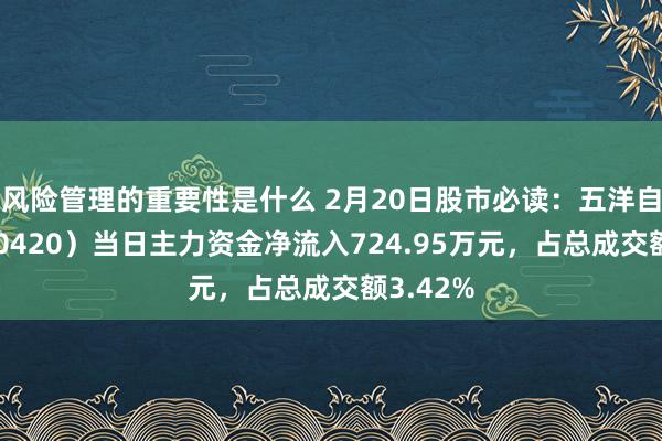 风险管理的重要性是什么 2月20日股市必读：五洋自控（300420）当日主力资金净流入724.95万元，占总成交额3.42%