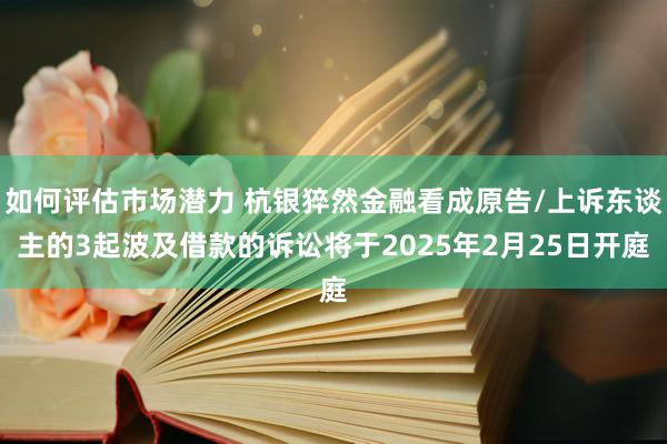 如何评估市场潜力 杭银猝然金融看成原告/上诉东谈主的3起波及借款的诉讼将于2025年2月25日开庭