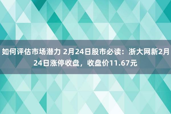 如何评估市场潜力 2月24日股市必读：浙大网新2月24日涨停收盘，收盘价11.67元