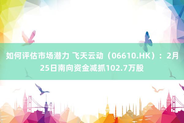 如何评估市场潜力 飞天云动（06610.HK）：2月25日南向资金减抓102.7万股