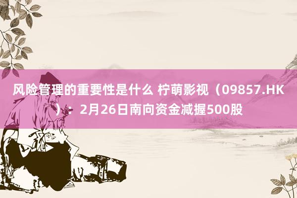 风险管理的重要性是什么 柠萌影视（09857.HK）：2月26日南向资金减握500股