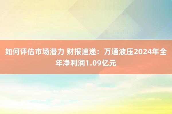 如何评估市场潜力 财报速递：万通液压2024年全年净利润1.09亿元