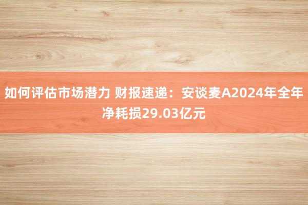 如何评估市场潜力 财报速递：安谈麦A2024年全年净耗损29.03亿元