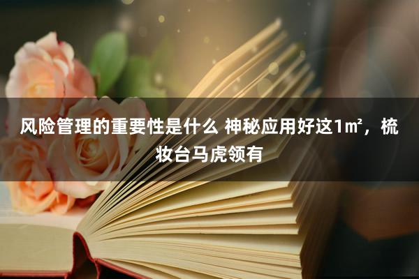 风险管理的重要性是什么 神秘应用好这1㎡，梳妆台马虎领有