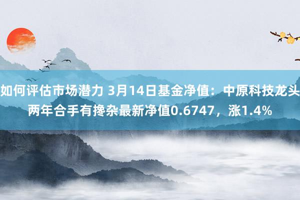 如何评估市场潜力 3月14日基金净值：中原科技龙头两年合手有搀杂最新净值0.6747，涨1.4%